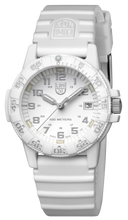 Load image into Gallery viewer, Leatherback Sea Turtle 0307.WO