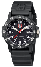 Load image into Gallery viewer, Leatherback Sea Turtle Giant 0321.L