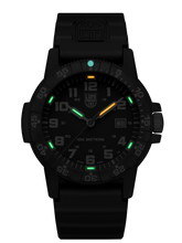 Load image into Gallery viewer, Leatherback Sea Turtle Giant 0321.L