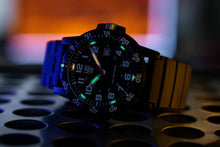 Load image into Gallery viewer, Leatherback Sea Turtle Giant 0321.L