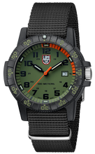 Load image into Gallery viewer, Leatherback Sea Turtle Giant 0337