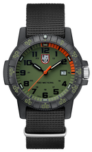 Load image into Gallery viewer, Leatherback Sea Turtle Giant 0337