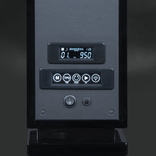 Load image into Gallery viewer, Rome Wood 2 Watches