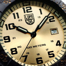 Load image into Gallery viewer, Leatherback Sea Turtle Giant 0325.GP