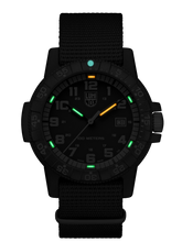 Load image into Gallery viewer, Leatherback Sea Turtle Giant 0333