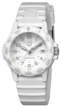 Load image into Gallery viewer, Leatherback SEA Turtle, 39MM - 0307.WO
