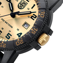 Load image into Gallery viewer, Leatherback SEA Turtle Giant, 44MM - 0325.GP
