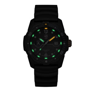 <transcy>Bear Grylls 3723</transcy>